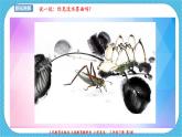 人教版美術(shù)三年級(jí)下冊(cè)第一課《水墨游戲》課件