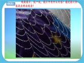 人教版美術(shù)三年級(jí)下冊(cè)第三課《曲曲直直》課件