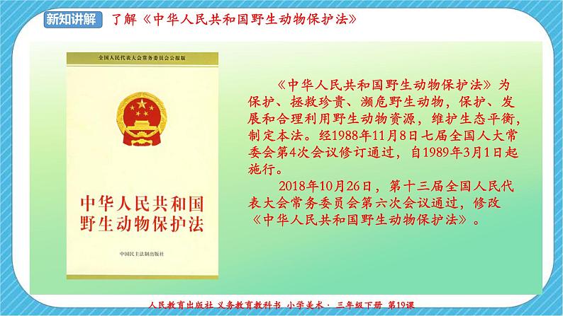 人教版美术三年级下册第十九课《保护珍稀野生动物》课件07