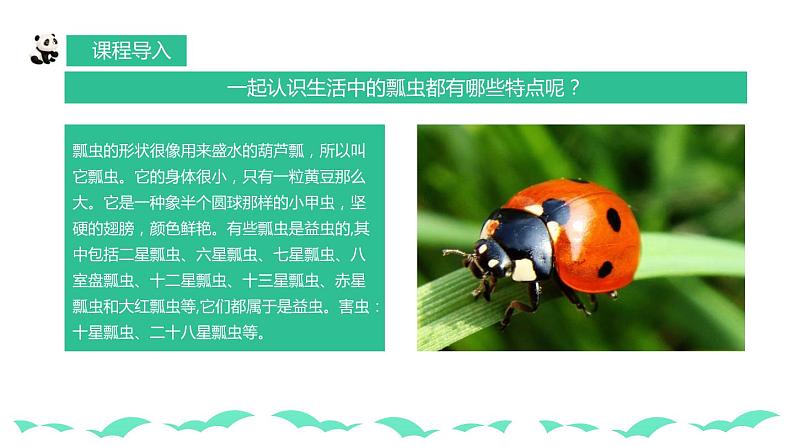 【核心素养目标】人教版小学美术一年级下册综合07