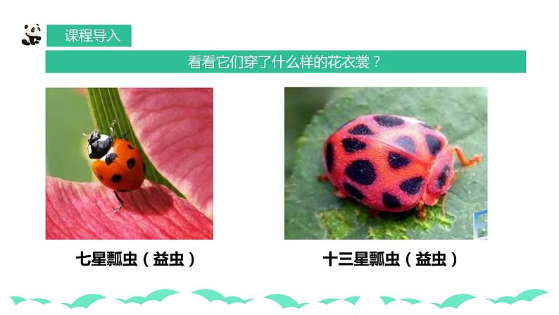 【核心素养目标】人教版小学美术一年级下册综合08