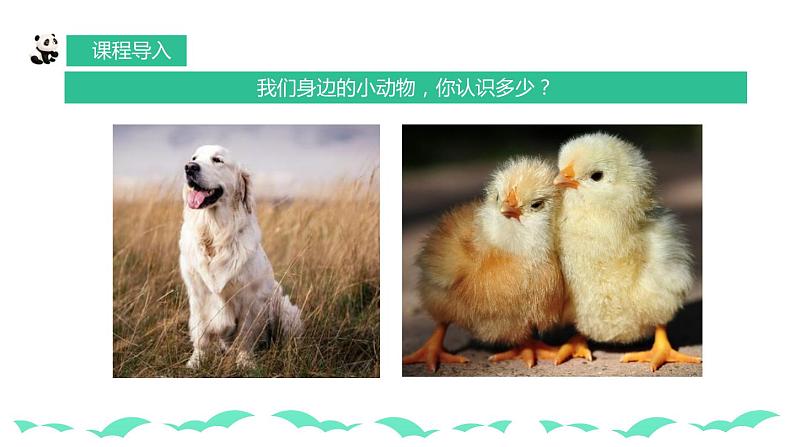 【核心素养目标】人教版小学美术一年级下册综合05