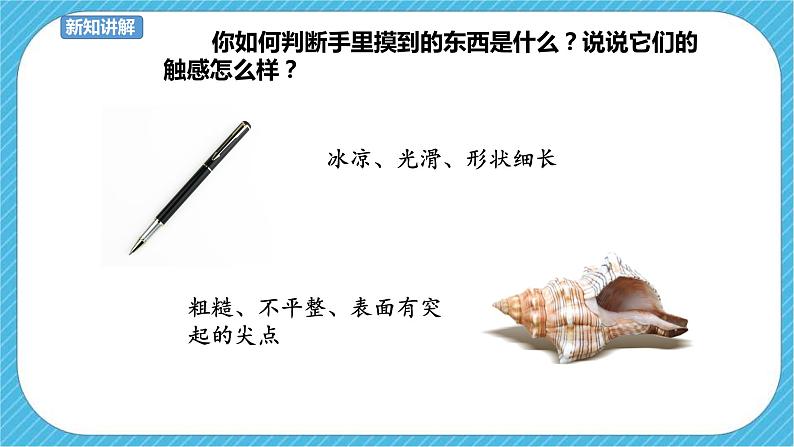 人教版美术一年级下册第6课《摸一摸 画一画》课件03