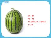 人教版美術(shù)一年級(jí)下冊(cè)第13課《各式各樣的水果》課件