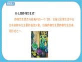 人教版美術(shù)五年級下冊第5課靜物寫生 課件
