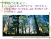 嶺南版小學美術(shù)一年級下冊第五課《快樂的小鳥》課件+教案