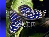 嶺南版小學(xué)美術(shù)一年級(jí)下冊(cè)第六課《昆蟲(chóng)王國(guó)》課件+教案