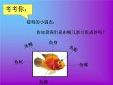 嶺南版小學美術(shù)一年級下冊第七課《大魚和小魚》課件+教案