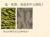 岭南版小学美术一年级下册第十三课《小飞机与降落伞》课件+教案