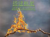 湘美版 美術(shù)五年級上冊第4課 搭建框架 教學(xué)課件