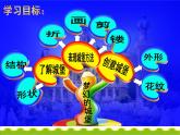 人教版小學(xué)美術(shù)三年級上冊第14課 夢幻的城堡課件