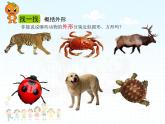 方方圓圓（課件）+湘美版美術(shù)三年級(jí)上冊