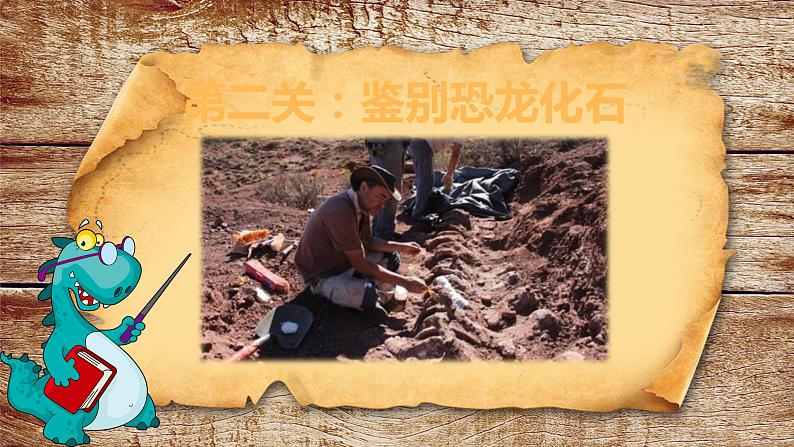 人美版小学三年级下册恐龙世界教学课件第6页