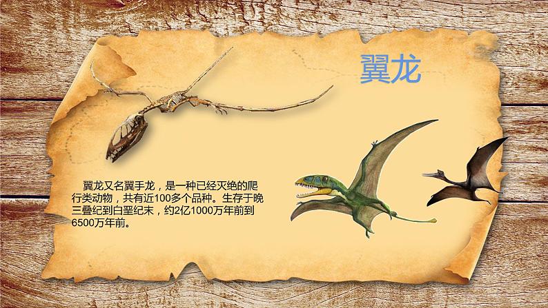 人美版小学三年级下册恐龙世界教学课件第7页