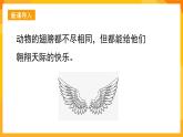 湘美版美術(shù)一年級(jí)下冊15《會(huì)飛的翅膀》課件