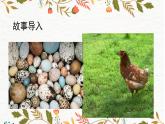 3.《出殼了》課件PPT