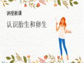 3.《出殼了》課件PPT