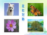 《對稱的美》 課件