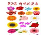 《鲜艳的花朵》课件