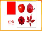 第1课 涂涂画画 课件 -辽海版美术一年级下册
