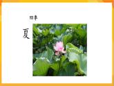 第12课 美丽的大自然 课件-辽海版美术一年级下册
