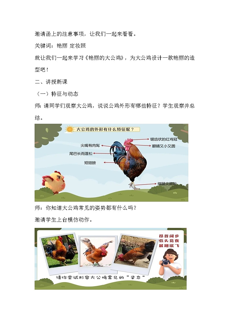 人美版美术四年级下册《艳丽的大公鸡》教学设计03