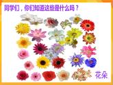 第2课 鲜艳的花朵 课件-赣美版美术一年级下册