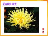 第2课 鲜艳的花朵 课件-赣美版美术一年级下册