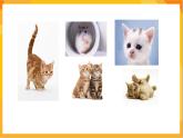 第7课 猫和老鼠 课件-赣美版美术一年级下册