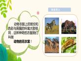 人教版三年級美術(shù)下冊 第11課《動物的花衣裳》教學(xué)課件