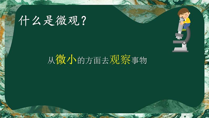 14. 微观世界（课件）-2023-2024学年人教版（2012）美术五年级下册第3页