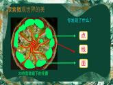 14. 微觀世界（課件）-2023-2024學(xué)年人教版（2012）美術(shù)五年級(jí)下冊(cè)