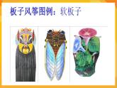 第4課 風箏 課件+教案+教學素材-蘇少版美術三年級下冊