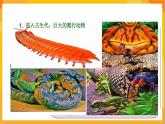 第14課 遠古的動物朋友 課件+教案+教學素材-蘇少版美術三年級下冊