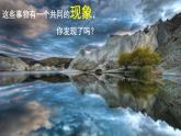 【人教版】二上美術(shù)  第8課  對(duì)印的圖形（課件+教案+素材）