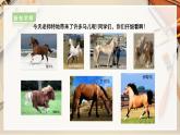 【人教版】二上美術(shù)  第15課 我和馬兒在一起 （課件+教案+素材）