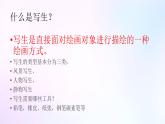 人教版美術(shù)六年級(jí)上冊(cè) 5.風(fēng)景寫生（課件）