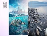 人教版美术六年级上册 11.废旧物的“新生命”（课件）