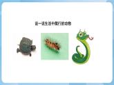 人美版美術(shù)三年級上冊：第14課《爬升玩具》課件