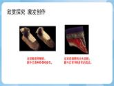 人美版美術(shù)三年級(jí)上冊(cè)：第18課《各種各樣的鞋》課件