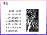 人教版美術(shù)五上：第6課《快樂刮畫》課件