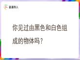 人教版美术三年级上册 6《黑与白》课件