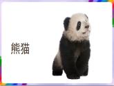人教版美术三年级上册 6《黑与白》课件