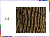 人教版美术三年级上册 9《天然的纹理》课件