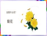 人教版美术三年级上册 10《美丽的花》课件