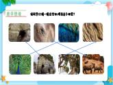 新人美版小學(xué)美術(shù)一上 第二單元 4《你拓我印的游戲》 課件