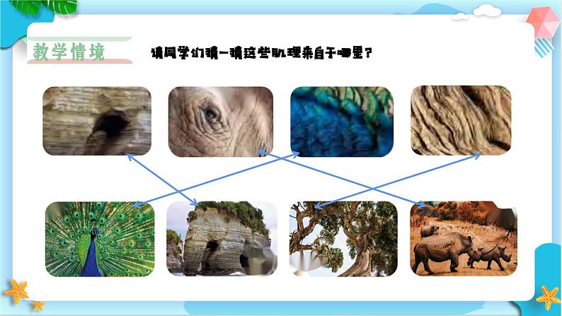 新人美版小学美术一上 第二单元 4《你拓我印的游戏》 课件02