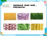 新人美版小學(xué)美術(shù)一上 第二單元 4《你拓我印的游戲》 課件