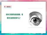 【嶺南版】五上美術(shù)  2.3 童眼看世界（課件+教案）