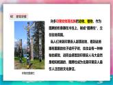 【嶺南版】四上美術(shù) 2.5《神秘的圖騰柱》課件+教案
